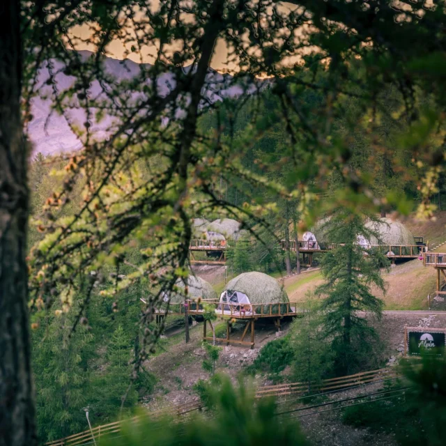 « En août, créez des souvenirs magiques en famille : randonnées, douceur des soirées alpines, et dômes confortables nichés dans la nature. 🌲✨ »

👉 Réservez votre séjour dès maintenant et vivez l’expérience Alpin D’Hôme.

#AlpinDHome #HébergementInsolite #DômesEnMontagne #ÉvasionAlpine #SéjourInsolite #DômePanoramique#VacancesEnFamille #SouvenirsMagiques #FamilleEnMontagne #SéjourEnFamille #AventureEnFamille#MontagneEnÉté #ÉtéÀLaMontagne #NatureEtDétente #RandonnéeEnFamille #NuitSousLesÉtoiles#SlowTourisme #TourismeResponsable #Déconnexion #NatureLovers #EscapadeAlpine