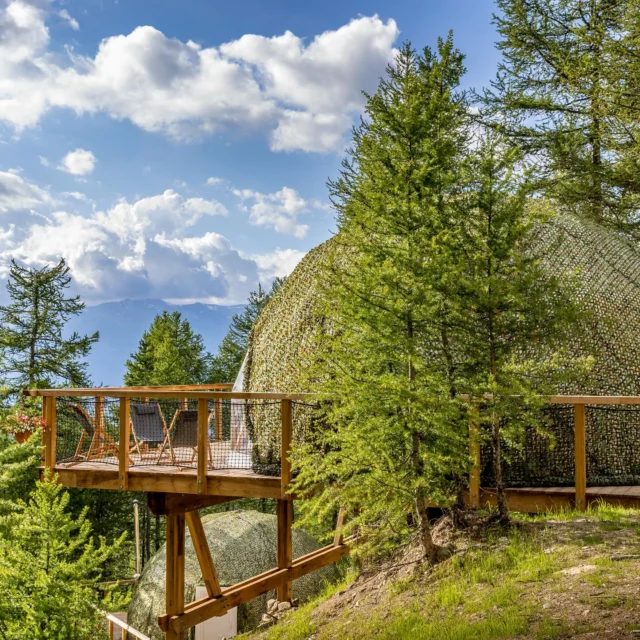 🏡 Un cocon en pleine nature pour petits et grands
Cet été, offrez à votre tribu une expérience inoubliable : un dôme spacieux, chaleureux et tout confort, pensé aussi pour les familles.
📍Lits confortables pour tous, espace de vie cosy, vue imprenable sur les montagnes… et la nature à portée de jeux.
✨ À Alpin D’Hôme, même les plus petits découvrent le goût de l’évasion.

🎒 Randonnées, moments partagés, nuits étoilées et réveils en douceur : ici, les souvenirs se vivent en famille.

📆 Réservez votre séjour familial dès maintenant.

#DômeCosy #FamilleEnMontagne #SéjourEnFamille #VacancesEnFamille #AlpinDHome #HébergementInsolite #DômeFamille #NatureEtDétente #MontagneEnÉté #SouvenirsEnFamille #DômeAvecVue #AventureEnFamille #ParenthèseAlpine #DômeChaleureux #HôtelNature